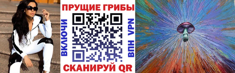 купить наркотик  Тында  shop официальный сайт  Псилоцибиновые грибы мухоморы 