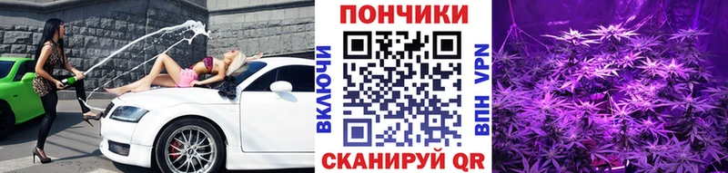 Канабис гибрид  Тында 